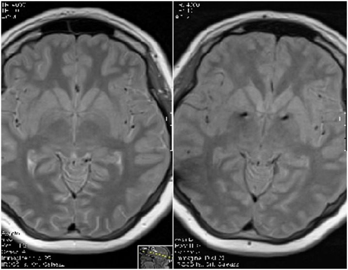 PMC12470222 – ijms-26-08831-f002