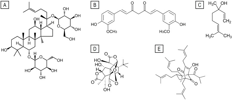 PMC12469565 – ijms-26-08849-f001