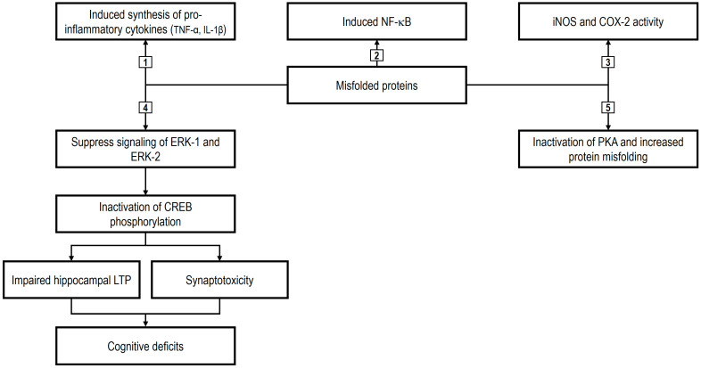 PMC12469565 – ijms-26-08849-f002