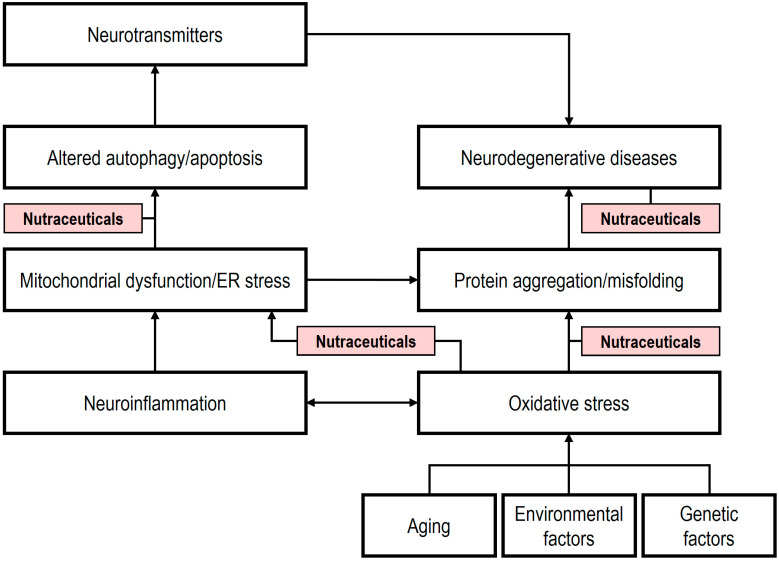 PMC12469565 – ijms-26-08849-f003