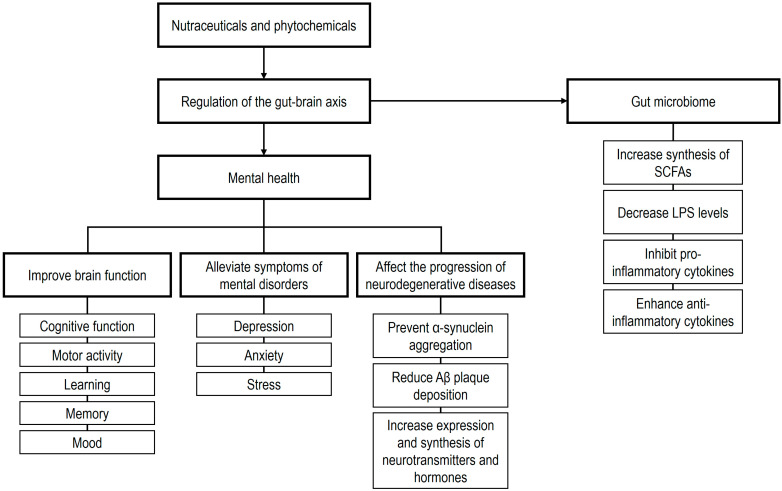 PMC12469565 – ijms-26-08849-f004