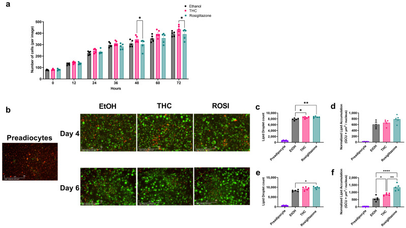 PMC12469841 – ijms-26-08860-f001