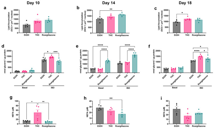 PMC12469841 – ijms-26-08860-f003