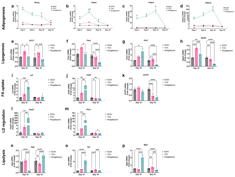 PMC12469841 – ijms-26-08860-f004