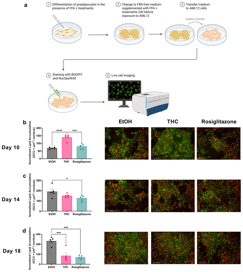 PMC12469841 – ijms-26-08860-f005