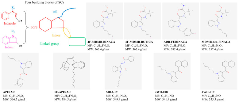 PMC12470358 – ijms-26-09165-f007