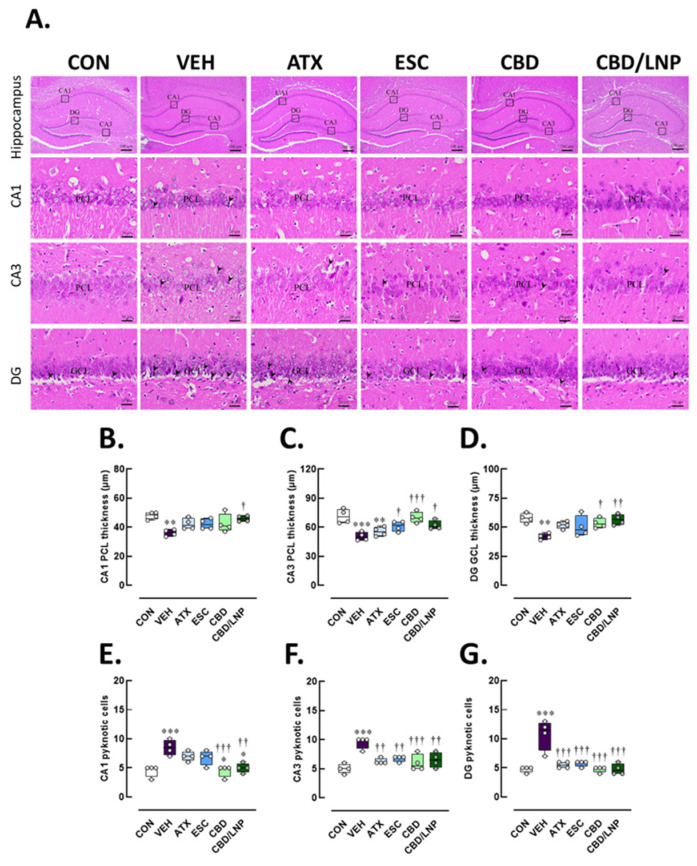 PMC12524416 – ijms-26-09318-f005