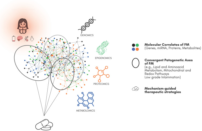 PMC12525179 – ijms-26-09762-f001