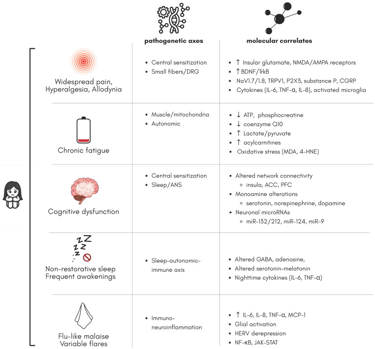 PMC12525179 – ijms-26-09762-f002