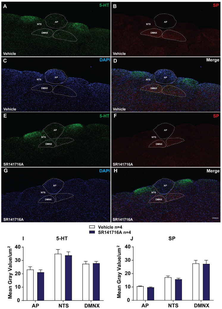 PMC12564499 – ijms-26-09884-f005