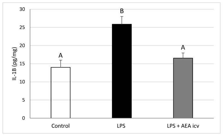 PMC12692469 – ijms-26-11246-f004