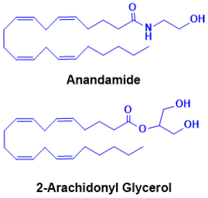 PMC12692213 – ijms-26-11632-f003
