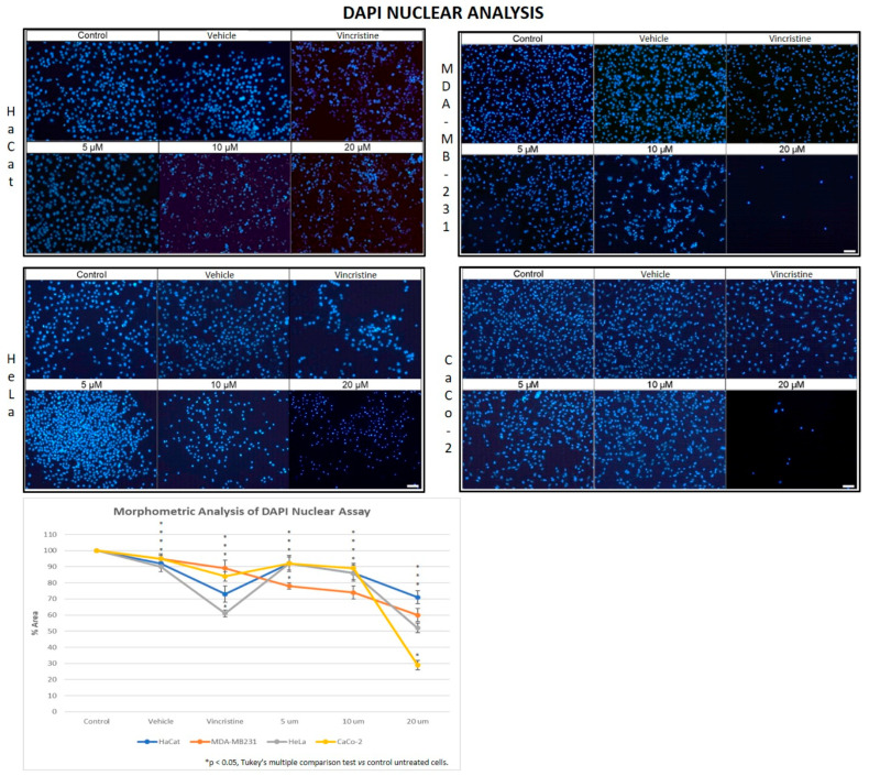 PMC12733474 – ijms-26-12136-f005