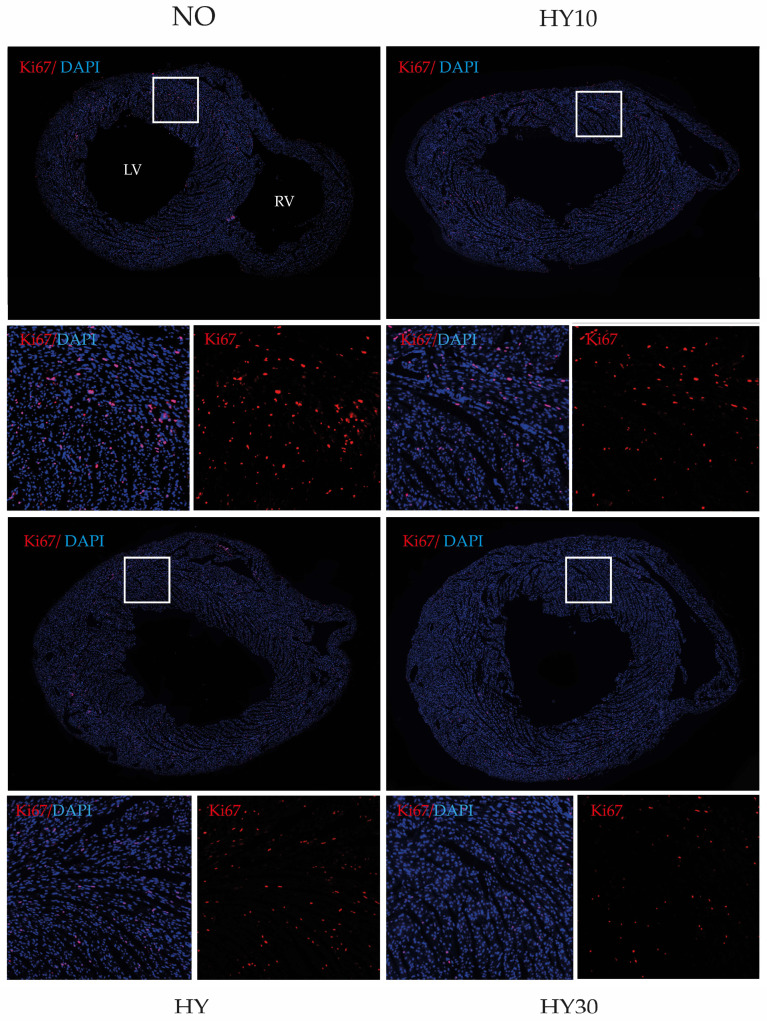 PMC12785666 – ijms-27-00146-f007