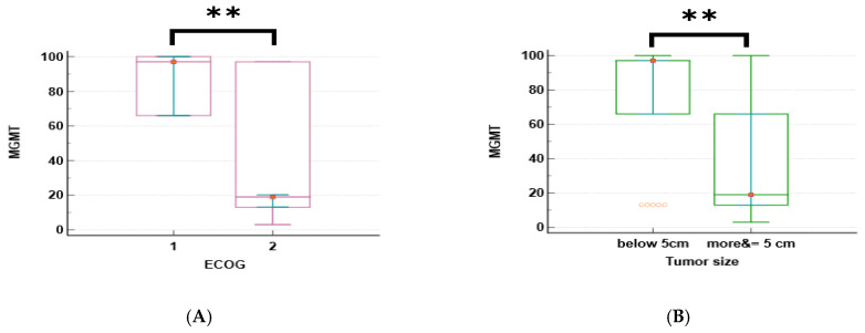 PMC12841541 – ijms-27-00763-f002