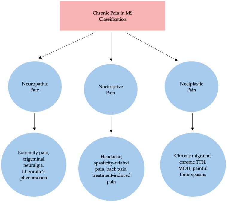 PMC12841355 – ijms-27-00873-f001