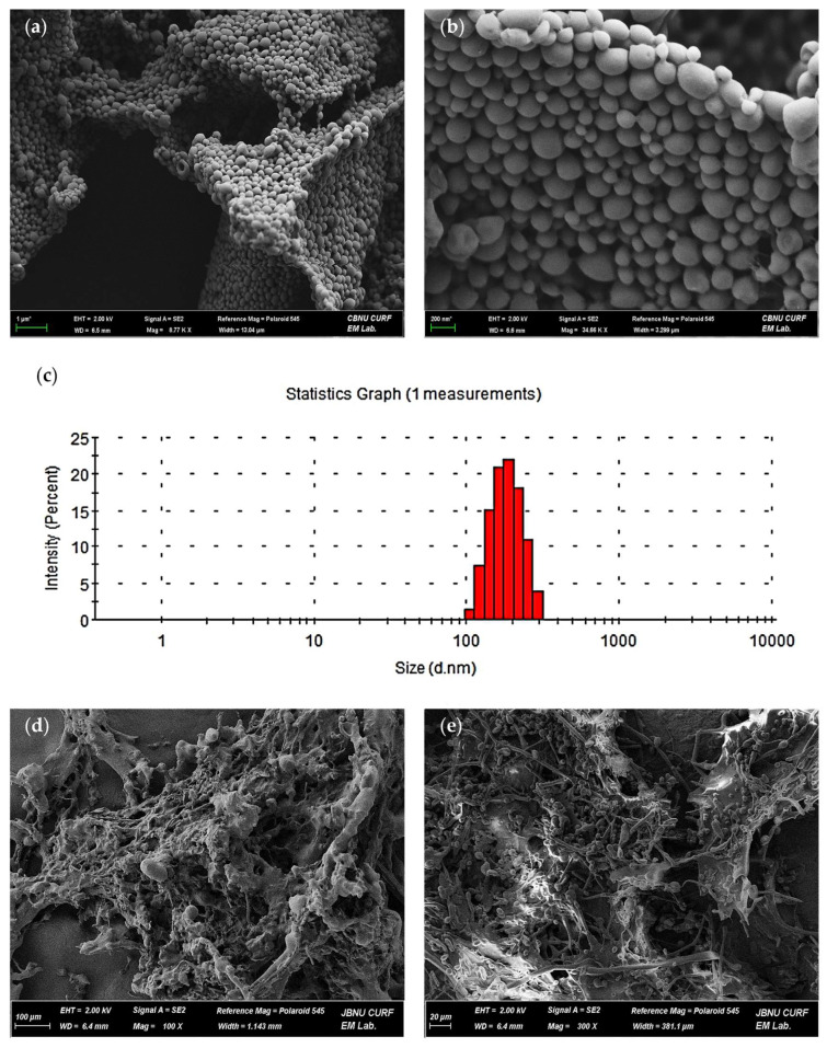 PMC12842336 – ijms-27-01127-f002