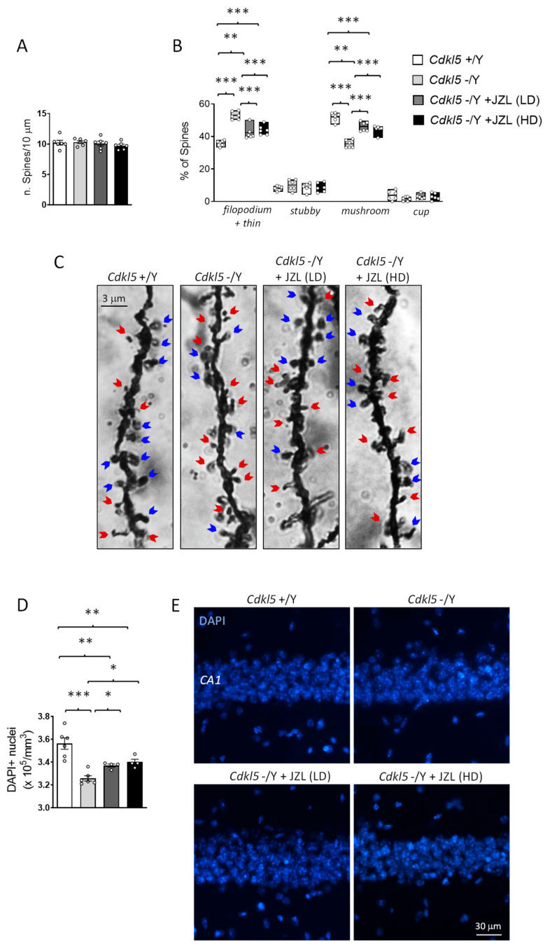 PMC13026865 – ijms-27-02773-f003