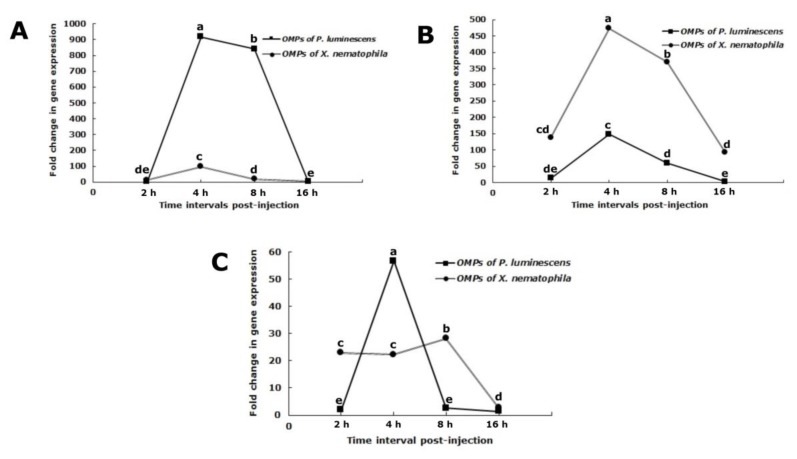 PMC6835289 – insects-10-00352-f004