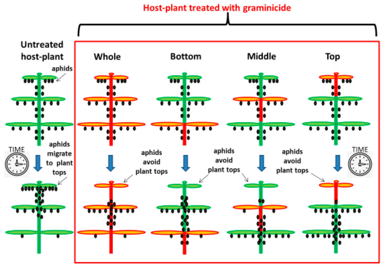 PMC8150316 – insects-12-00420-f004