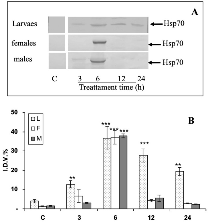 PMC9145660 – insects-13-00437-f005