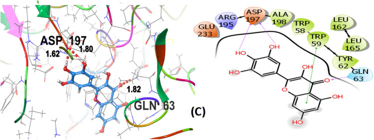 PMC11736388 – j_biol-2022-1024_fig_010