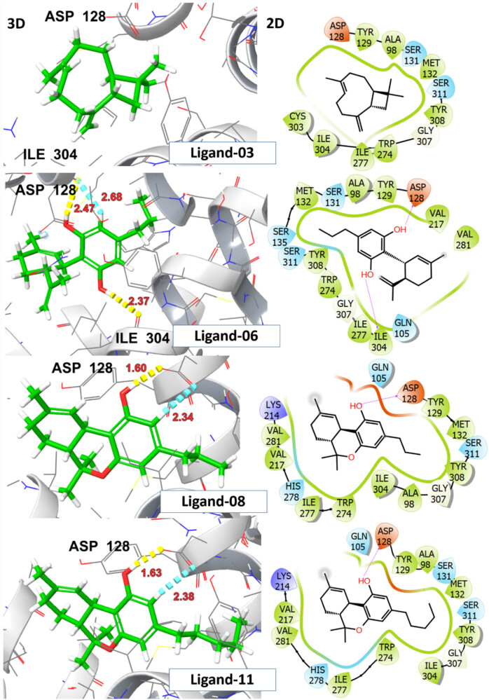 PMC12412375 – j_biol-2025-1141_fig_009