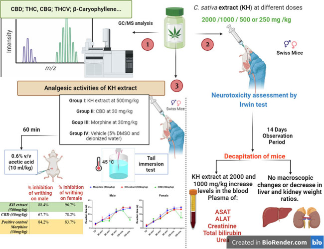 PMC12412375 – j_biol-2025-1141_ga_001