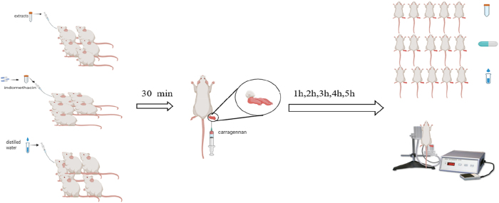 PMC12917594 – j_biol-2025-1211_fig_001