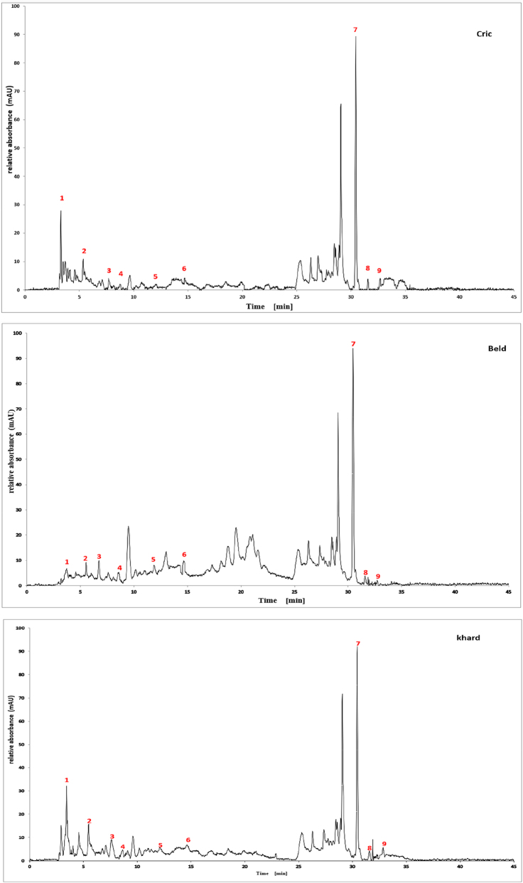 PMC12917594 – j_biol-2025-1211_fig_002