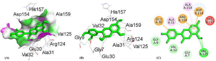 PMC12917594 – j_biol-2025-1211_fig_007