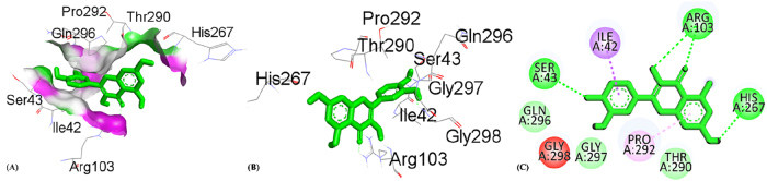 PMC12917594 – j_biol-2025-1211_fig_008