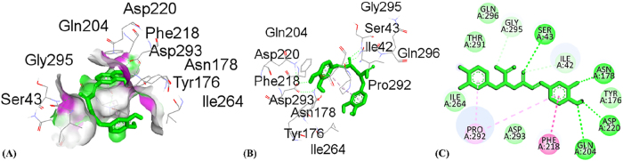 PMC12917594 – j_biol-2025-1211_fig_009