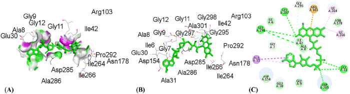 PMC12917594 – j_biol-2025-1211_fig_010