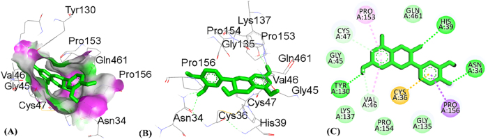 PMC12917594 – j_biol-2025-1211_fig_011