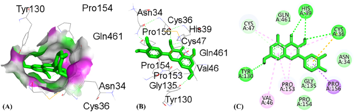 PMC12917594 – j_biol-2025-1211_fig_012