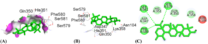 PMC12917594 – j_biol-2025-1211_fig_013