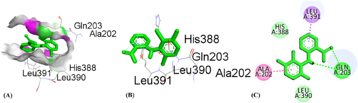 PMC12917594 – j_biol-2025-1211_fig_014
