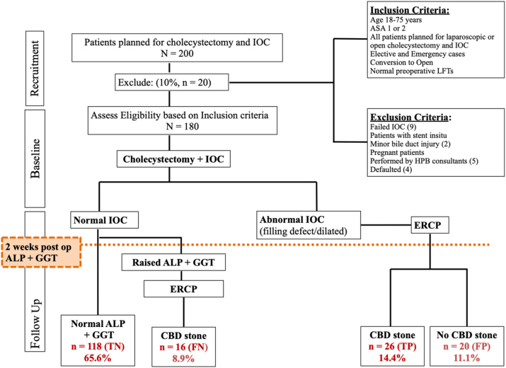 PMC11138406 – j_iss-2023-0059_fig_001