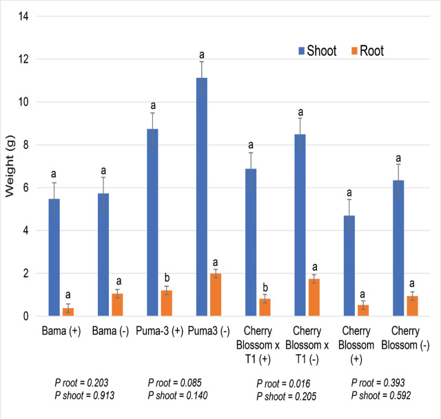 PMC10940272 – j_jofnem-2024-0003_fig_004