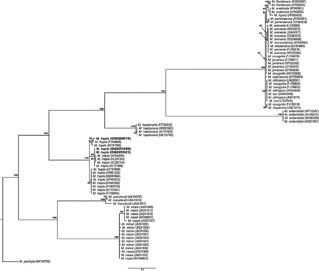 PMC10940274 – j_jofnem-2024-0008_fig_002