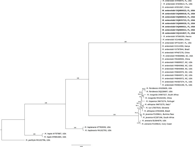 PMC11770197 – j_jofnem-2024-0042_fig_005
