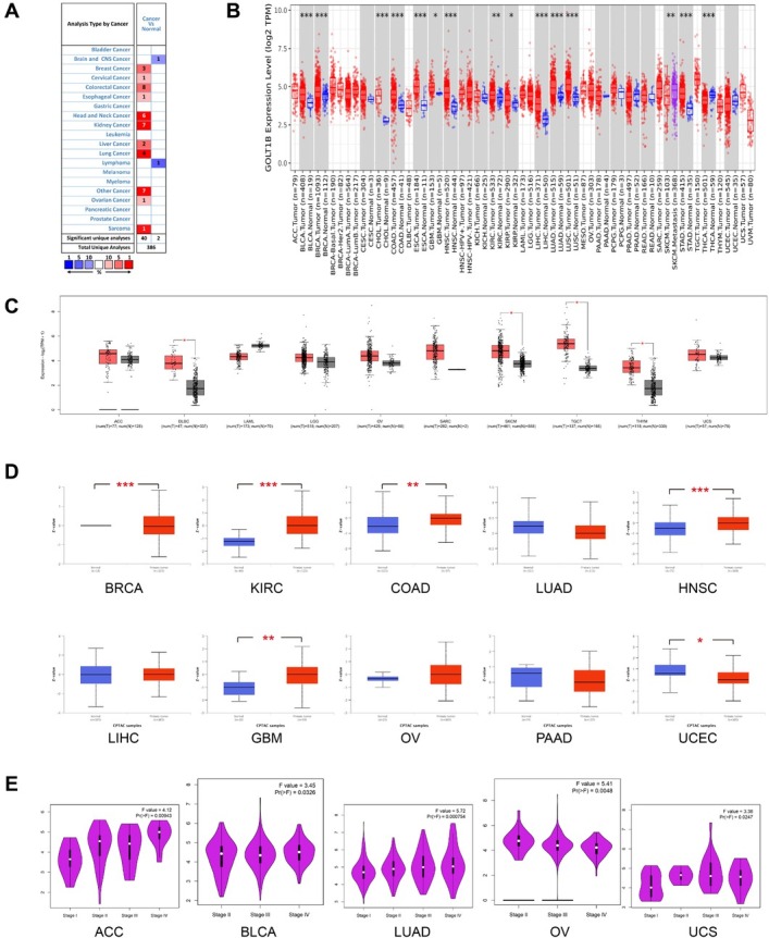 PMC10732491 – j_jtim-2023-0002_fig_001