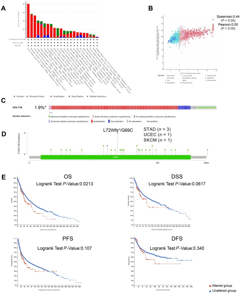 PMC10732491 – j_jtim-2023-0002_fig_003