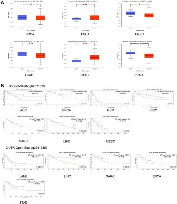 PMC10732491 – j_jtim-2023-0002_fig_004