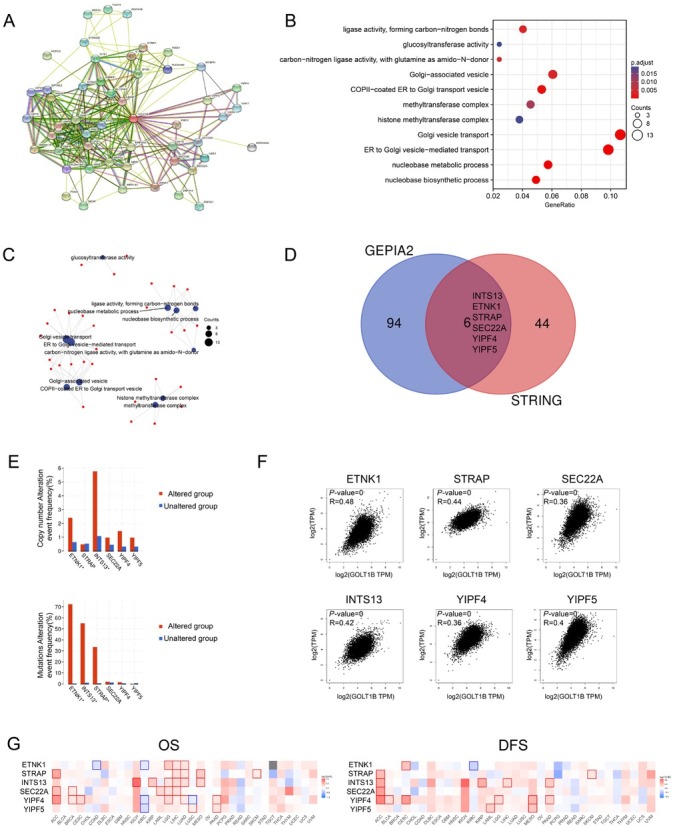 PMC10732491 – j_jtim-2023-0002_fig_007