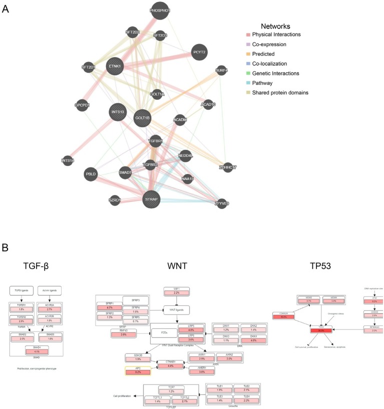 PMC10732491 – j_jtim-2023-0002_fig_008
