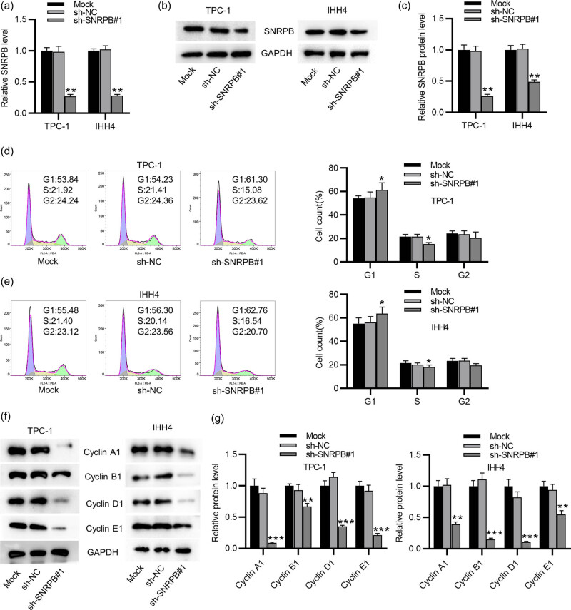 PMC9579862 – j_med-2022-0531_fig_002