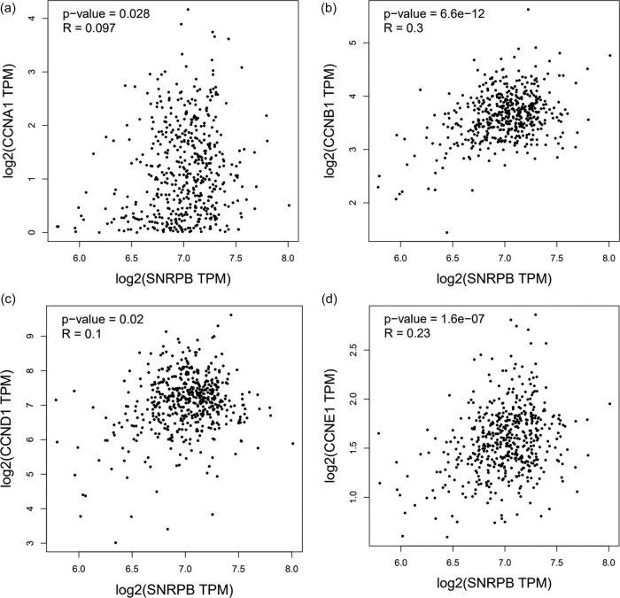 PMC9579862 – j_med-2022-0531_fig_003