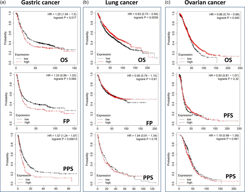 PMC9449685 – j_med-2022-0547_fig_003